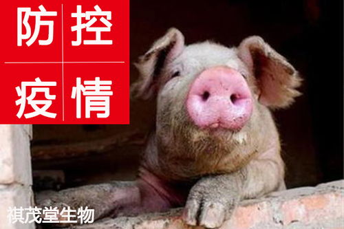 省农业农村厅发布致全省畜禽养殖场户的一封信,疫情下多地猪价呈涨势